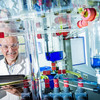 A man looks between colorful glass apparatuses