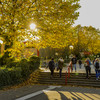 Eine Treppe und ein Gehweg auf dem Campus, auf dem Studierende in beiden Richtungen unterwegs sind.