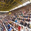 Stands of Signal-Iduna-Park with freshman students.